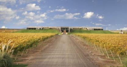 intemperie-malbec-organico-de-bodega-malma