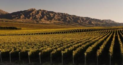 vinedos-que-combinan-catas-gastronomia-arte-y-paisajes-que-miles-de-turistas-visitan