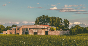 asesoria-a-nuestros-clientes-para-realizar-las-mejores-selecciones-que-beneficien-sus-negocios