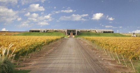 intemperie-malbec-organico-de-bodega-malma