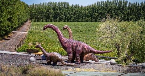 la-bodega-patagonica-que-esconde-un-tesoro-prehistorico