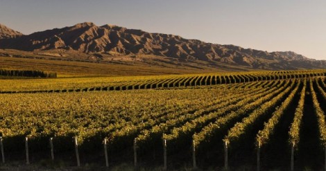 vinedos-que-combinan-catas-gastronomia-arte-y-paisajes-que-miles-de-turistas-visitan