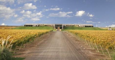 intemperie-malbec-organico-de-bodega-malma