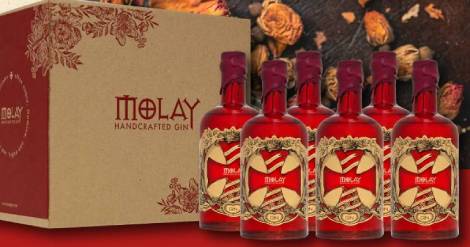 el-gin-molay-anade-un-toque-de-elegancia-y-sofisticacion-a-cualquier-trago