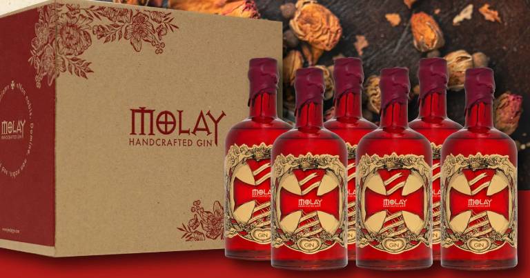 el-gin-molay-anade-un-toque-de-elegancia-y-sofisticacion-a-cualquier-trago