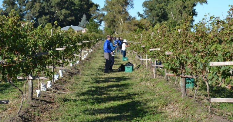 visitas-y-catas-cuales-son-las-bodegas-de-la-provincia-de-buenos-aires