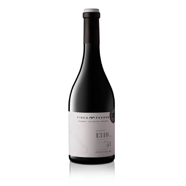 Vino: Coleccion 1310 Pinot